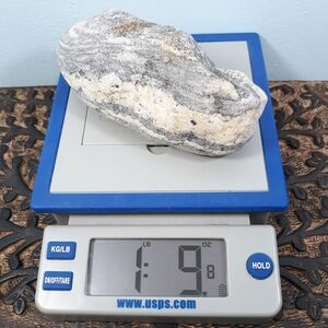 Maine Multi Banded Stone East Coast Beach Rock Rough Mineral Specimen Gray White